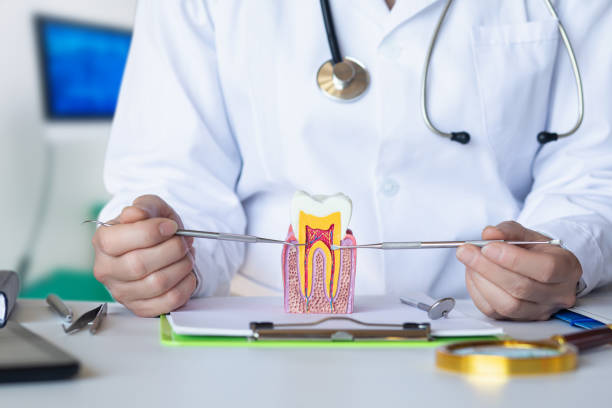 Best Emergency Root Canal Treatment in Keyser, WV